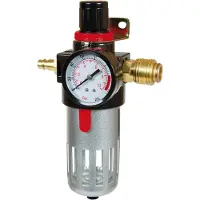 Einhell tryckregulator med filter (4134100)