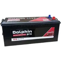 Dolphin Charger Pro-batteri 180a