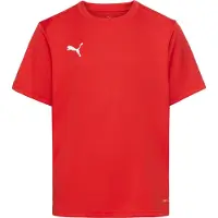 Puma Tränings T-Shirt teamGOAL - Röd/Vit Barn, storlek 152 cm