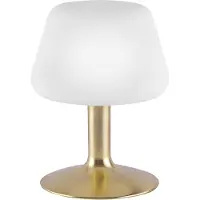 Paul Neuhaus Bordslampa Till, dimbar, Mässing / guld, Vardagsrum / matsal, Metall, Modern, Bordslampa