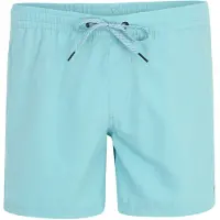 Quiksilver Solid 15´´ Simshorts