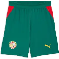 Puma Senegal 2026 Shorts Men, storlek Medium