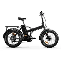 Rawbike Classic Elcykel Onyx