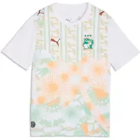 Puma Côte d'Ivoire 2026 Away Jersey Youth, storlek 164 cm