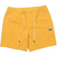 Salty Crew Seadog Volley Simshorts