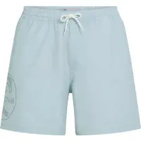 O'Neill O'Riginals Cali Ocean 16'' Boardshorts light blue o / riginals a w Storlek XS