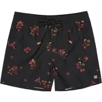 Billabong Vacay Simshorts