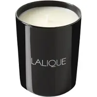 Lalique Candela profumata al vetiver Bali Indonesia 190 g