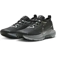 Nike Pegasus Trail 5 GORE-TEX