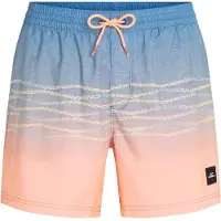 O'Neill First 15'' Boardshorts blue heritage onlll fl fl Storlek M