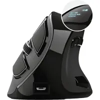 Trust Voxx - Vertikal mus - ergonomisk - högerhänt - optisk - 9 knappar - trådlös - Bluetooth, 2.4 GHz - trådlös USB-mottagare