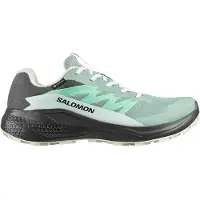 Salomon Alphaglide GTX, Löparskor, Dam, Grön/Grå