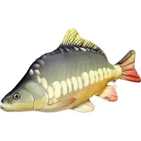 Gaby Den Medelstora Karpkudden