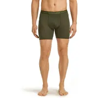 Icebreaker Men's Anatomica Long Boxers Dk Loden