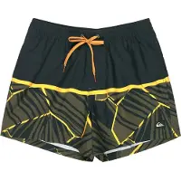 Quiksilver Everyday Poolsider 15 Boardshorts black panel nat geo Storlek XXL