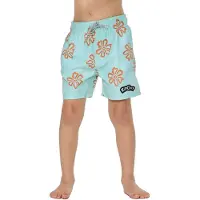Rip Curl Ride The Wave Volley Simshorts