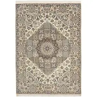 Rezas Nain 9 La orientalisk matta 176 x 247 cm