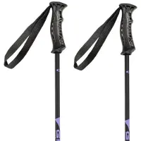 Gabel R Carbon Juniorstavar