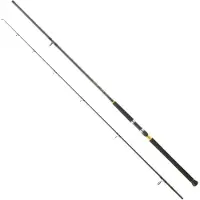 Daiwa Legalis Shore Jigging-spö
