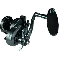 Xzoga Rogue X Rx Sw Jiggingrulle