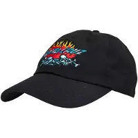 Santa Cruz Salba Voodoo Pit Keps
