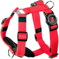 My Family Memopet H Adjustable Hundsele