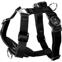 My Family Memopet H Adjustable Hundsele