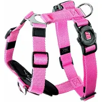My Family Memopet H Adjustable Hundsele