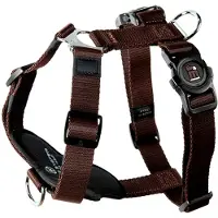 My Family Memopet H Adjustable Hundsele