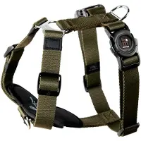 My Family Memopet H Adjustable Hundsele