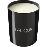 Lalique Candela profumata Figuier Amalfi Italie 600 g