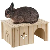 Ferplast 52x31x26 Cm Gnagarehus