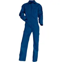 Cofan Tesla Overall