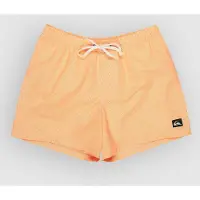 Quiksilver Everyday Deluxe Volley 15 Boardshorts radiant yellow Storlek S