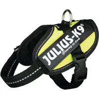 JULIUS K-9 Idc Baby Hundsele