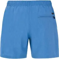Protest Davey Simshorts