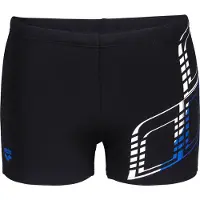Arena Graphic Swim Simshorts