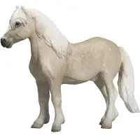 Small Foot Welsh Pony