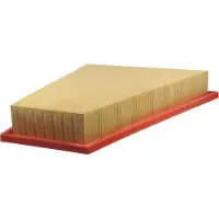 FILTRON Luftfilter AP028/5