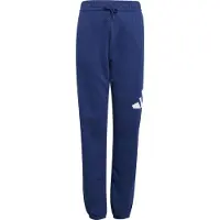 Adidas Essentials Big Logo Joggers