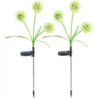 Maximex stickkontakt-lampa solcells LED maskrosor 75 cm 2 st