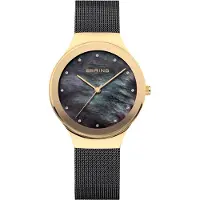 Bering Dam Classic - Stjärnurmakarna