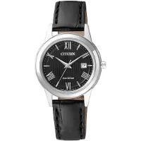 Citizen Ecodrive Watch Brun