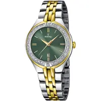 Festina Herr Grön Klocka F16868/4