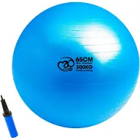 Fitness-Mad 300kg Anti-burst Swiss Fitboll