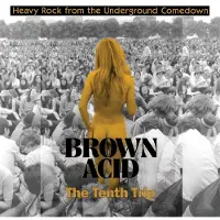 Ginza.se Brown Acid - The Tenth Trip