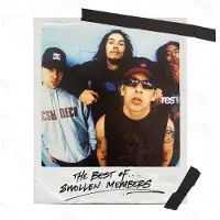 Ginza.se Swollen Members: Best Of