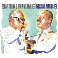 Ginza.se Terry, Sonny & Brownie Mcghee: Working Man Blues
