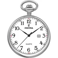 Festina F2019/1 Herrfickur