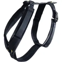 Kentucky Active Velvet Hundsele